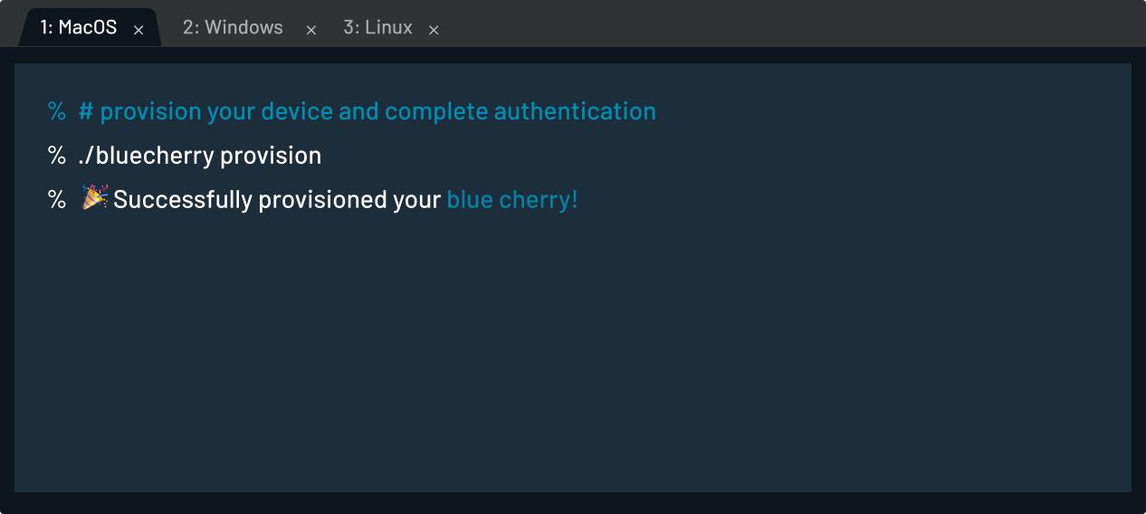Provision command BlueCherry